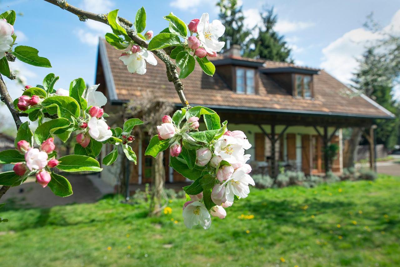 Villa Pod Koniem Kazimierz Dolny Zewnętrze zdjęcie