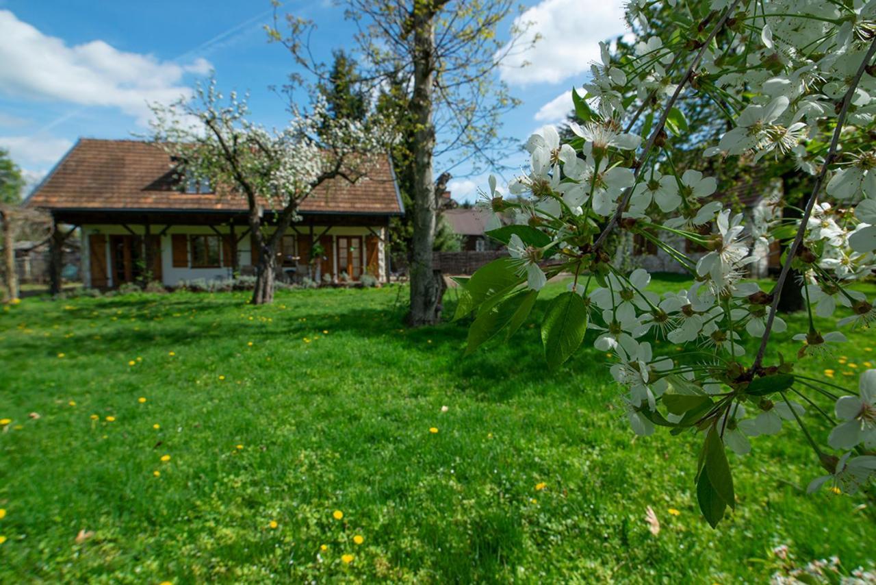 Villa Pod Koniem Kazimierz Dolny Zewnętrze zdjęcie