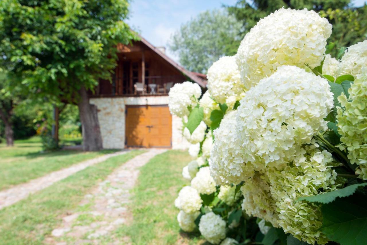 Villa Pod Koniem Kazimierz Dolny Zewnętrze zdjęcie