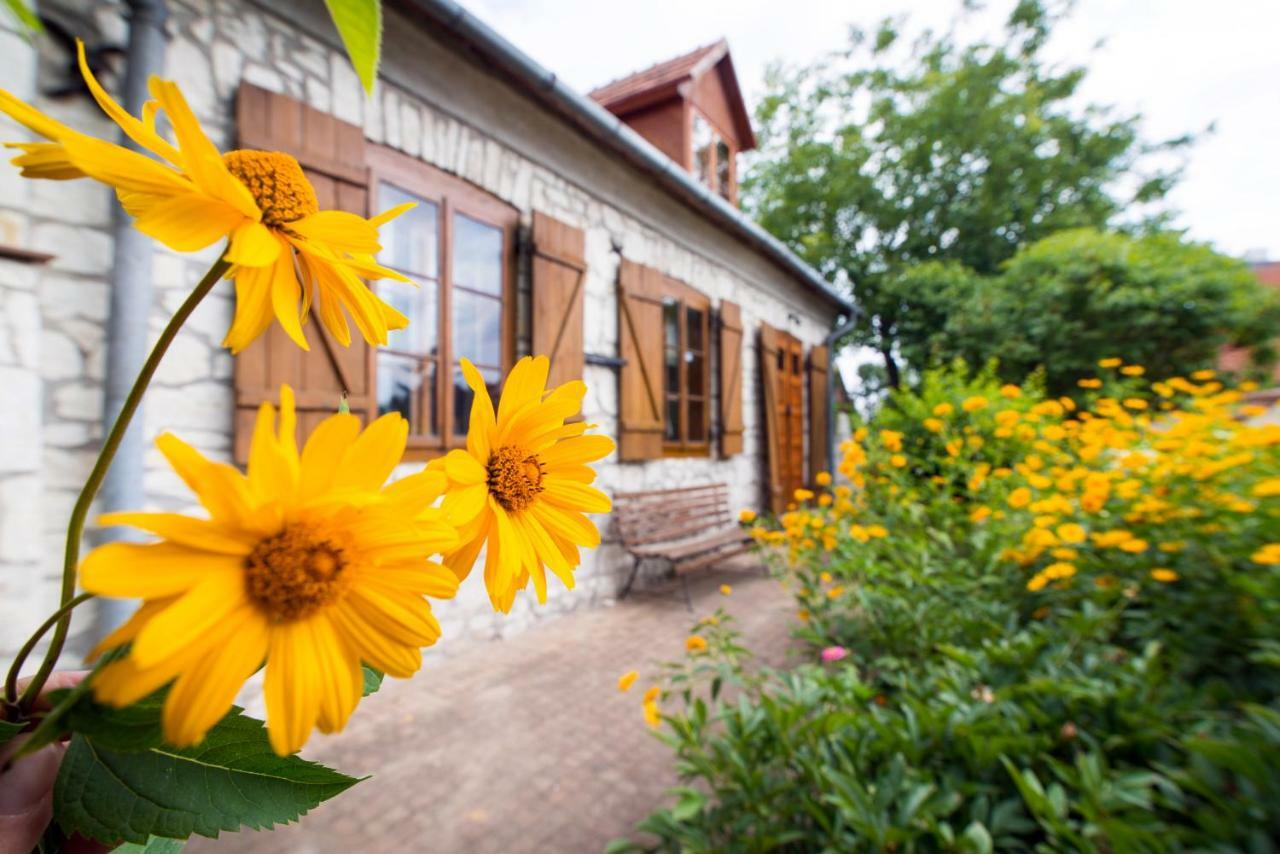 Villa Pod Koniem Kazimierz Dolny Zewnętrze zdjęcie